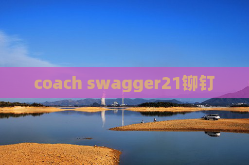 coach swagger21铆钉